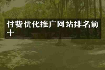 付费优化推广网站排名前十