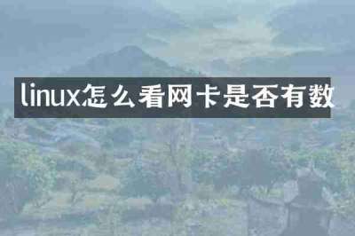 linux怎么看网卡是否有数
