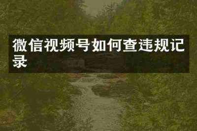 微信视频号如何查违规记录