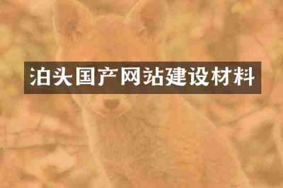 泊头国产网站建设材料