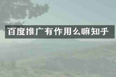 百度推广有作用么嘛知乎