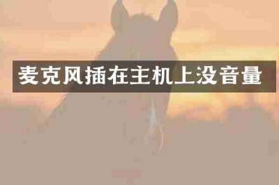 麦克风插在主机上没音量