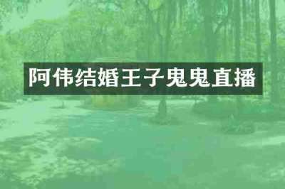 阿伟结婚王子鬼鬼直播