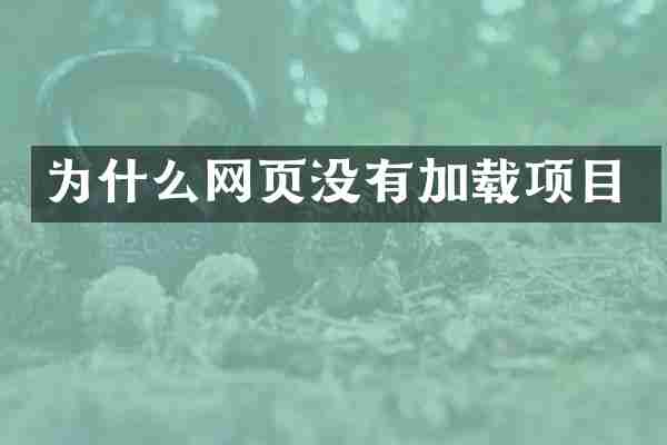 为什么网页没有加载项目