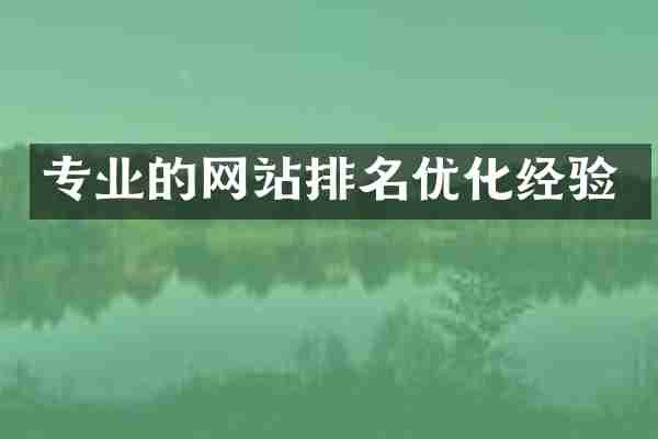 专业的网站排名优化经验