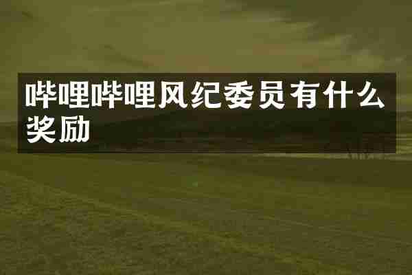 哔哩哔哩风纪委员有什么奖励