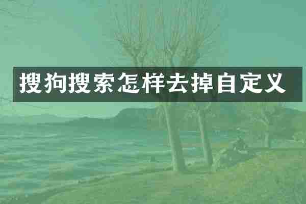 搜狗搜索怎样去掉自定义