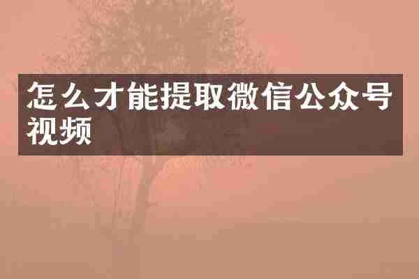 怎么才能提取微信公众号视频