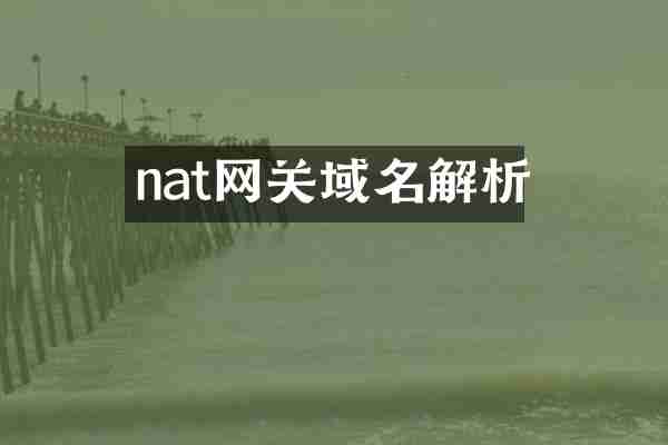 nat网关域名解析