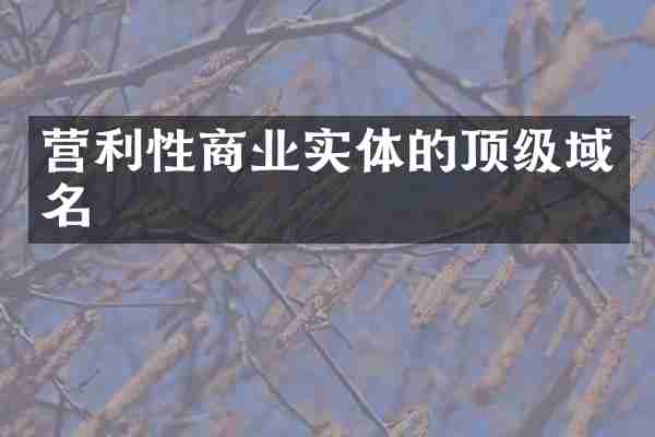 营利性商业实体的顶级域名
