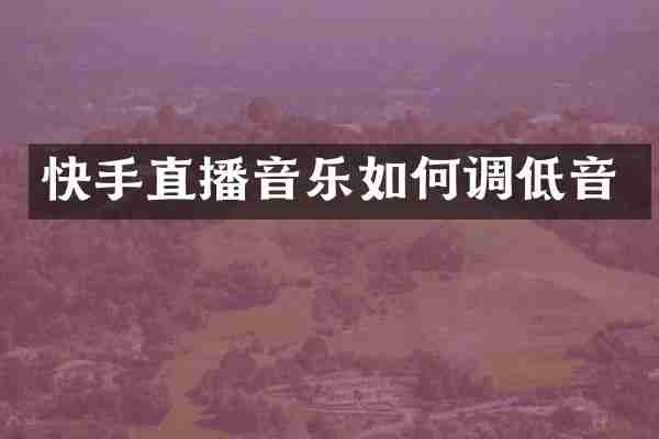 快手直播音乐如何调低音