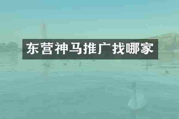东营神马推广找哪家