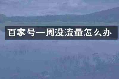 百家号一周没流量怎么办