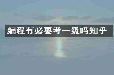编程有必要考一级吗知乎