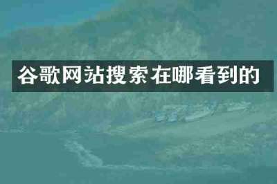 谷歌网站搜索在哪看到的