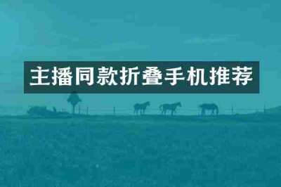 主播同款折叠手机推荐
