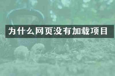 为什么网页没有加载项目