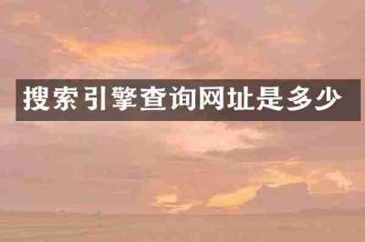 搜索引擎查询网址是多少