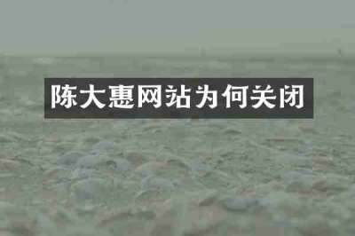 陈大惠网站为何关闭