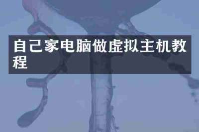 自己家电脑做虚拟主机教程