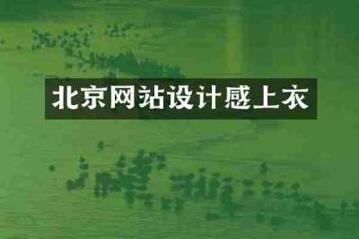 北京网站设计感上衣