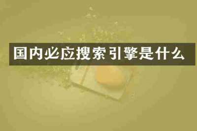 国内必应搜索引擎是什么