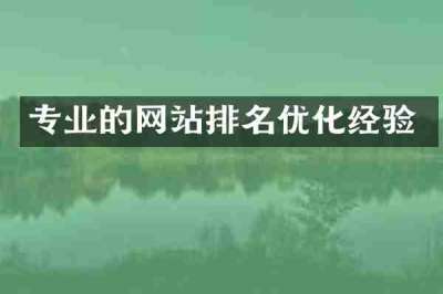 专业的网站排名优化经验