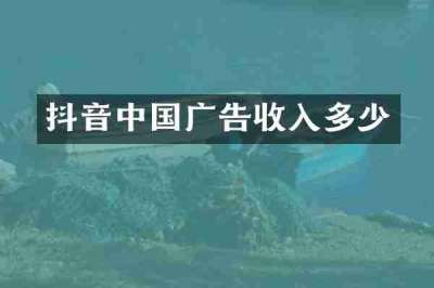 抖音中国广告收入多少