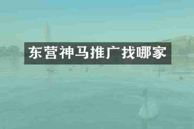 东营神马推广找哪家