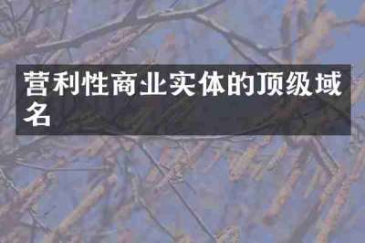 营利性商业实体的顶级域名