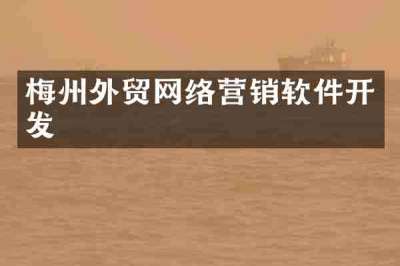 梅州外贸网络营销软件开发