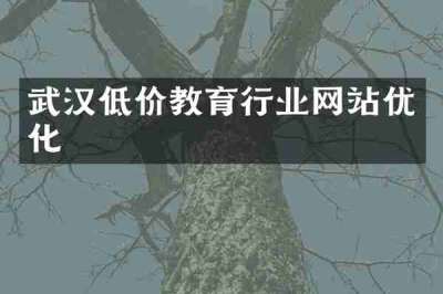武汉低价教育行业网站优化