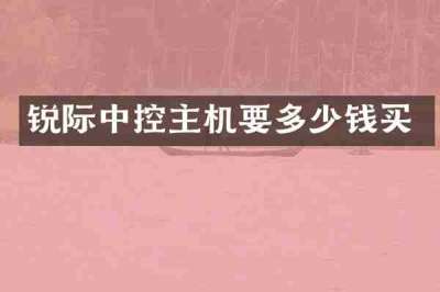 锐际中控主机要多少钱买