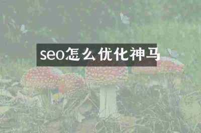 seo怎么优化神马