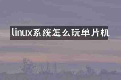 linux系统怎么玩单片机