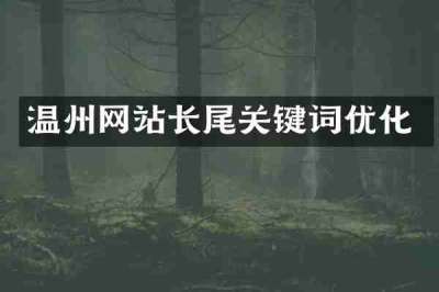 温州网站长尾关键词优化