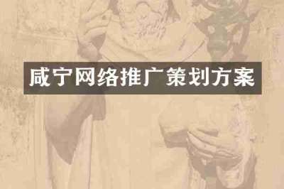 咸宁网络推广策划方案