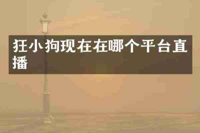 狂小狗现在在哪个平台直播