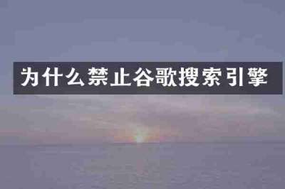 为什么禁止谷歌搜索引擎