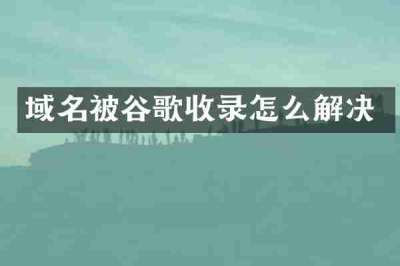 域名被谷歌收录怎么解决
