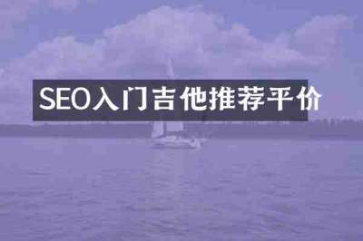 SEO入门吉他推荐平价
