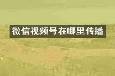 微信视频号在哪里传播