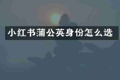 小红书蒲公英身份怎么选