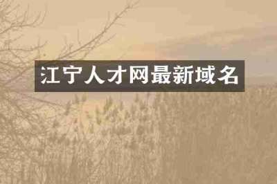 江宁人才网最新域名