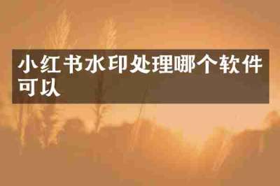 小红书水印处理哪个软件可以