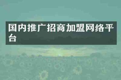 国内推广招商加盟网络平台