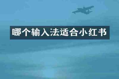哪个输入法适合小红书