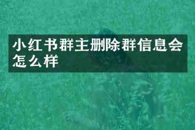 小红书群主删除群信息会怎么样