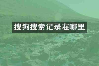 搜狗搜索记录在哪里