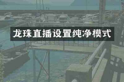 龙珠直播设置纯净模式